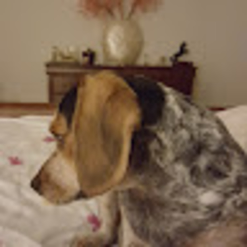 Meet your Posher, Theja